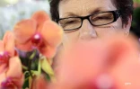 Salon Flore et Halle