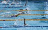 25ème meeting de natation de l\\\'océan Indien