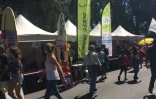 Plus de 1000 personnes à la Journée Sport Santé