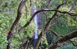 Cascade Biberon 