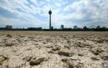 Le lit du Rhin partiellement asséché, le 25 juillet 2022 à Düsseldorf, en Allemagne