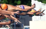 natation 