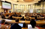 Département : 300 acteurs réunis pour mieux coordonner les parcours d’autonomie à La Réunion