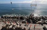 NRL et route du littoral