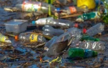 Déchets Saint-Louis 