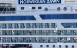 Le Port : les passagers du paquebot Norwegian Dawn débarquent à La Réunion