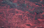Volcan