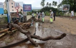 Garance : La Réunion, l'île en phase de sauvegarde