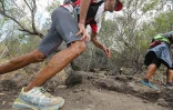 Grand Raid 2013
