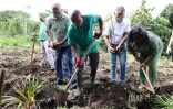plantation 500 arbres ALEFPA Département