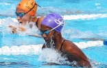 Natation