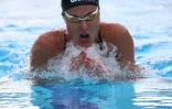 Meeting natation 2015