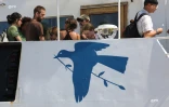 Greenpeace