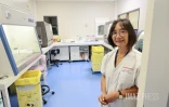  chikungunya analyse sang 