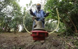 emplois verts 