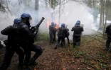 Des policiers anti-émeute  tentent d'évacuer des occupants de la ZAD de Notre-Dame-des-Landes, le 24 novembre 2012