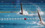 natation championnat de la réunion 