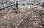 Feu du Maïdo
