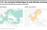 Covid-19 : les variants britannique et sud-africain en Europe