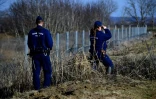 Des officiers de police patrouillent le 23 février 2017 près de Illocska, à la frontière entre la Hongrie et la Croatie