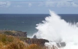 houle avril 2016