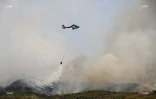 Incendie au Maïdo : la fumée visible de loin 