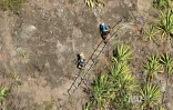 Grand Raid 2023