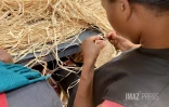 Visite de Bello à l'usine Axelle à madagascar 