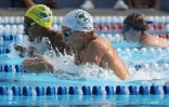 Natation