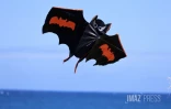 Marmay's en l'air : les cerfs-volants font le show à Saint-Pierre