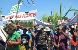 Manif agricole