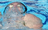 25ème meeting de natation de l\'océan Indien