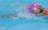 meeting championnat de la reunion 2018