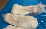 Pêche illicite de légine : six personnes interpellées après la découverte de 2,2 tonnes de poissons non déclarés, 10 kilos supplémentaires retrouvés lors d'une perquisition
