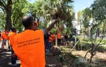Saint-Denis : les chasseurs de tangues mobilisés devant la préfecture [?]