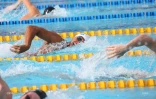 meeting natation 2015