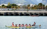 Dragon boats au port 2016