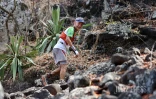 Grand Raid 2023