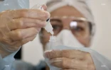 test coronavirus antigénique lycée jean hinglo le port