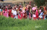 Cavadee : les fidèles célèbrent le dieu tamoul Muruga à Saint-Paul