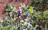 Mauritius Adventure Raid Story
