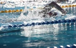 championnat de la réunion 2017