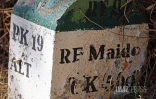 route forestière des tamarins RF9