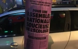 campagne d'affichage de greenpeace à la réunion pour les législatives