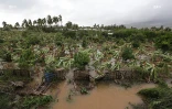 Cyclone Bejisa
