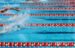 natation 