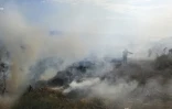 Les Avirons: Incendie la lisière de la forêt domaniale 