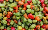 Fruits et légumes