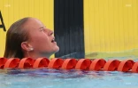 natation 