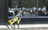 Des personnes regardent le robot-chien Scar déambuler sur la pelouse de l'Ecole des Mines de Nancy, le 23 septembre 2020 